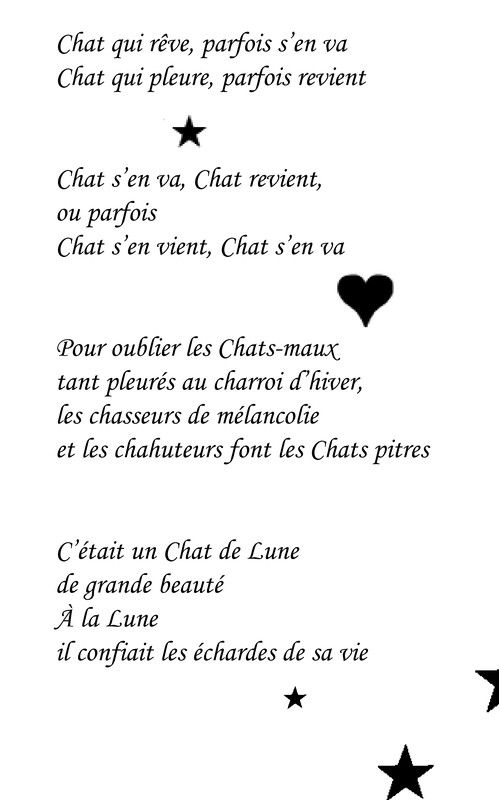 Chats ! Chats ! Chats !