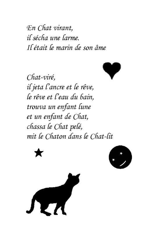 Chats ! Chats ! Chats !