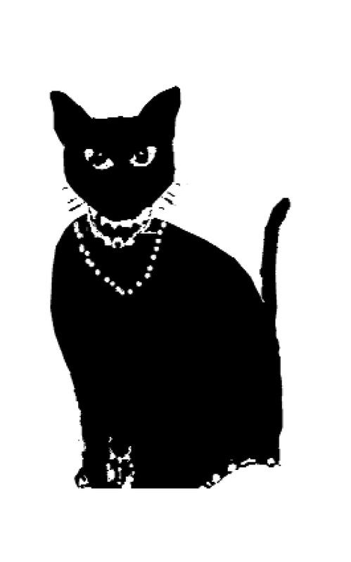 Chats ! Chats ! Chats !