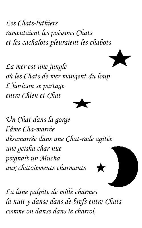 Chats ! Chats ! Chats ! 2